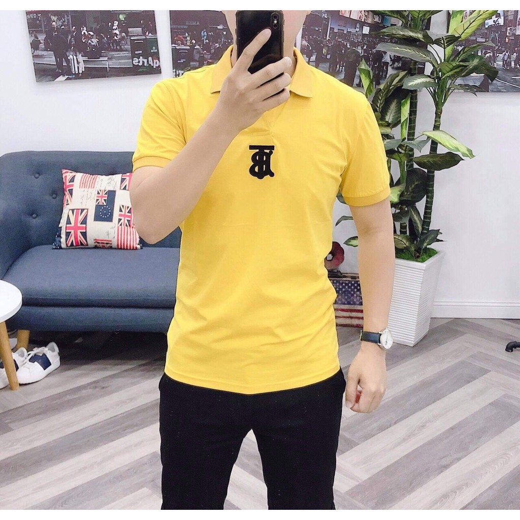 Áo Thun Polo Nam Cổ Trụ ANH DUY SHOP ATP43