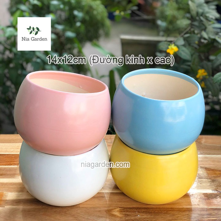 Chậu hạt dẻ lớn 14cm trồng cây cảnh