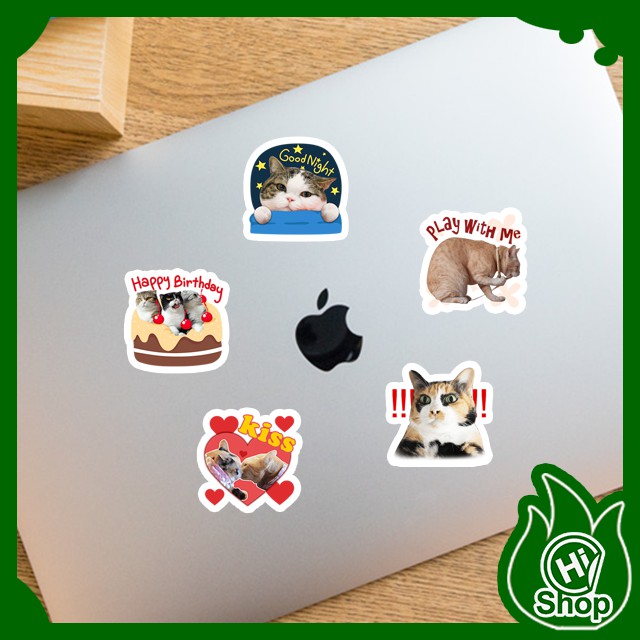 [Bộ 24 Sticker] Hình Dán Sticker Vương Quốc Mèo Tiểu Hổ | Dán Nón Bảo Hiểm, Điện Thoại, Laptop, Bình Nước