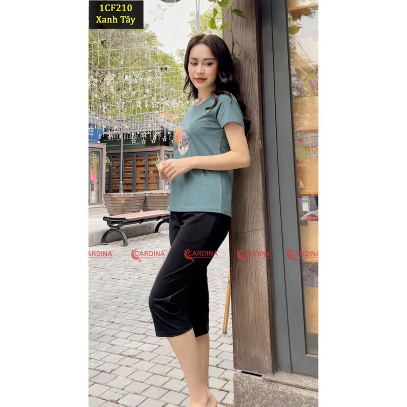 Đồ Bộ Nữ 𝐂𝐀𝐑𝐃𝐈𝐍𝐀 In Hình Trái Tim, Quần Lửng Áo Cộc Tay Chât Cotton Cao Cấp 1CF4 | BigBuy360 - bigbuy360.vn