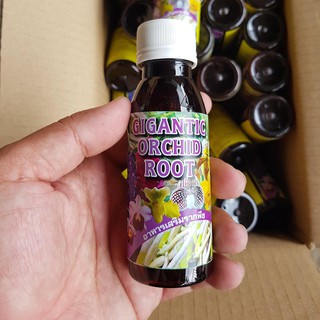 Gigantic orchid root 100ml thuốc kích rễ cây phong lan nhập khẩu thái lan