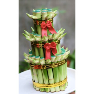 Cây trúc Phú Quý 3 tầng