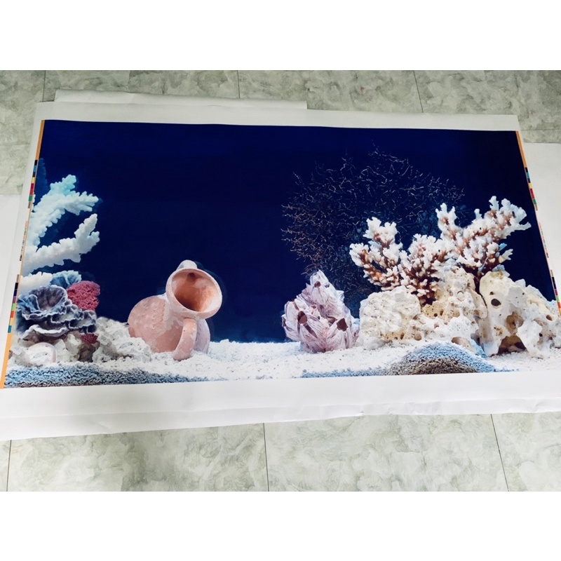 Tranh 3d dán bể cá, hồ cá mẫu san hô cực kỳ đẹp và sang, có keo sẵn trên bề mặt, đa dạng kích thước