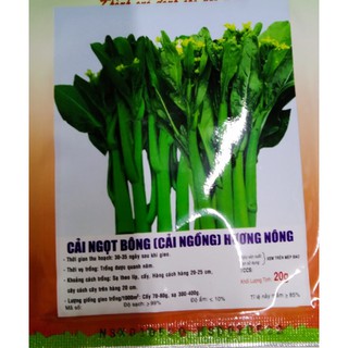 Hạt cải ngồng (cải ngọt bông) - gói 20 gram