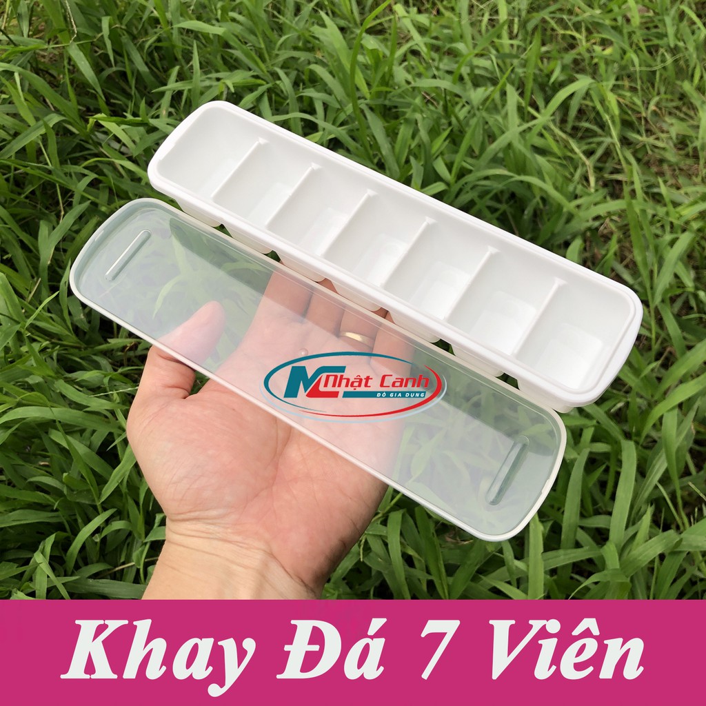 Khay Làm Đá Viên To, Viên Nhỏ Bằng Nhựa Có Nắp và Không Nắp Cao Cấp