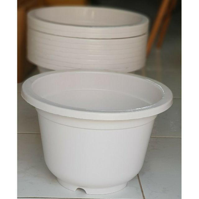 10 chậu nhựa trắng rộng 24cm