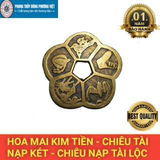Combo 3 Đồng Hoa Mai Chiêu Tài
