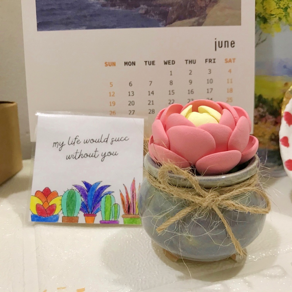 Sen đá dù hồng, sen đá đất sét, sen đá handmade
