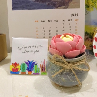Sen đá dù hồng, sen đá đất sét, sen đá handmade