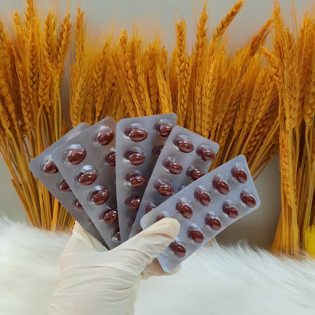 FE OSCAR,Viên uống bổ máu, bổ sung sắt, acid folic, vitamin B12