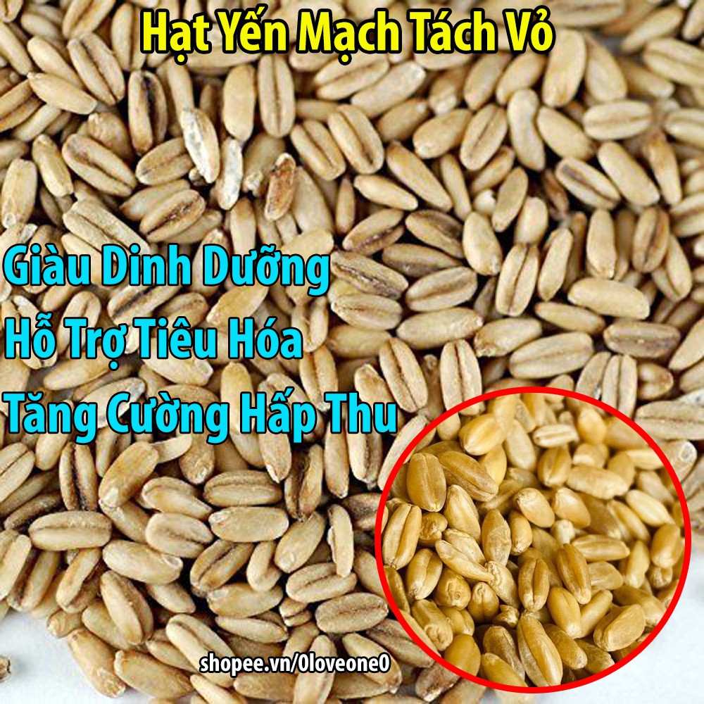 500g Yến Mạch Tách Vỏ Nguyên Hạt Cho Chim-Vẹt-Gà