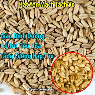 500g yến mạch tách vỏ nguyên hạt cho chim-vẹt-gà