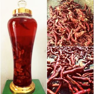 Rễ mú từn khô 1kg chuẩn rừng tây bắc