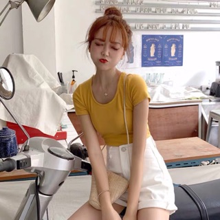 Áo len tay ngắn cổ tròn(Kèm ảnh thật)