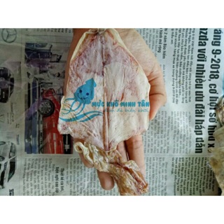 8 con mực câu như hình