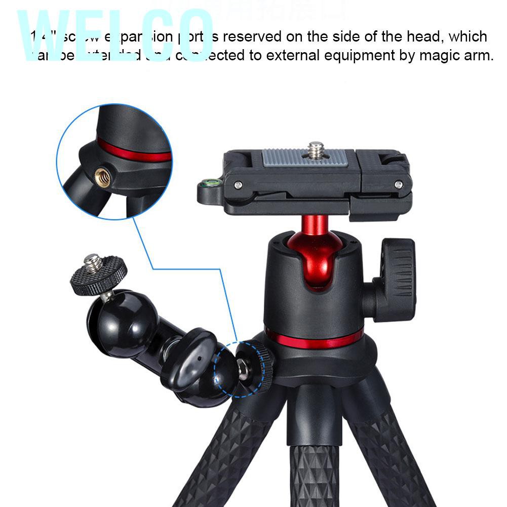 Chân Tripod Tripod Không Gương Cho Điện Thoại Thông Minh Welco Ulanzi Mt-11