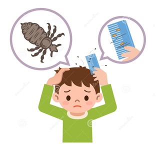 Newgi C Dầu gội trị chấy, trị chí ✅(Chính Hãng 100%)