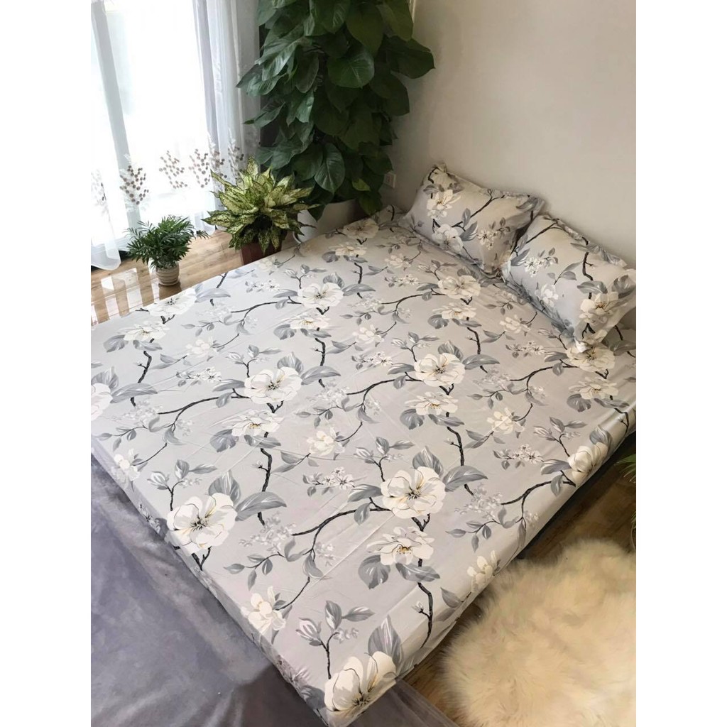 Bộ ga chun và 2 áo gối nằm Emmidecor - mẫu Hoa ghi, drap cotton poly