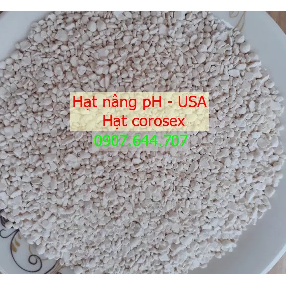 Hạt nâng pH USA - corosex