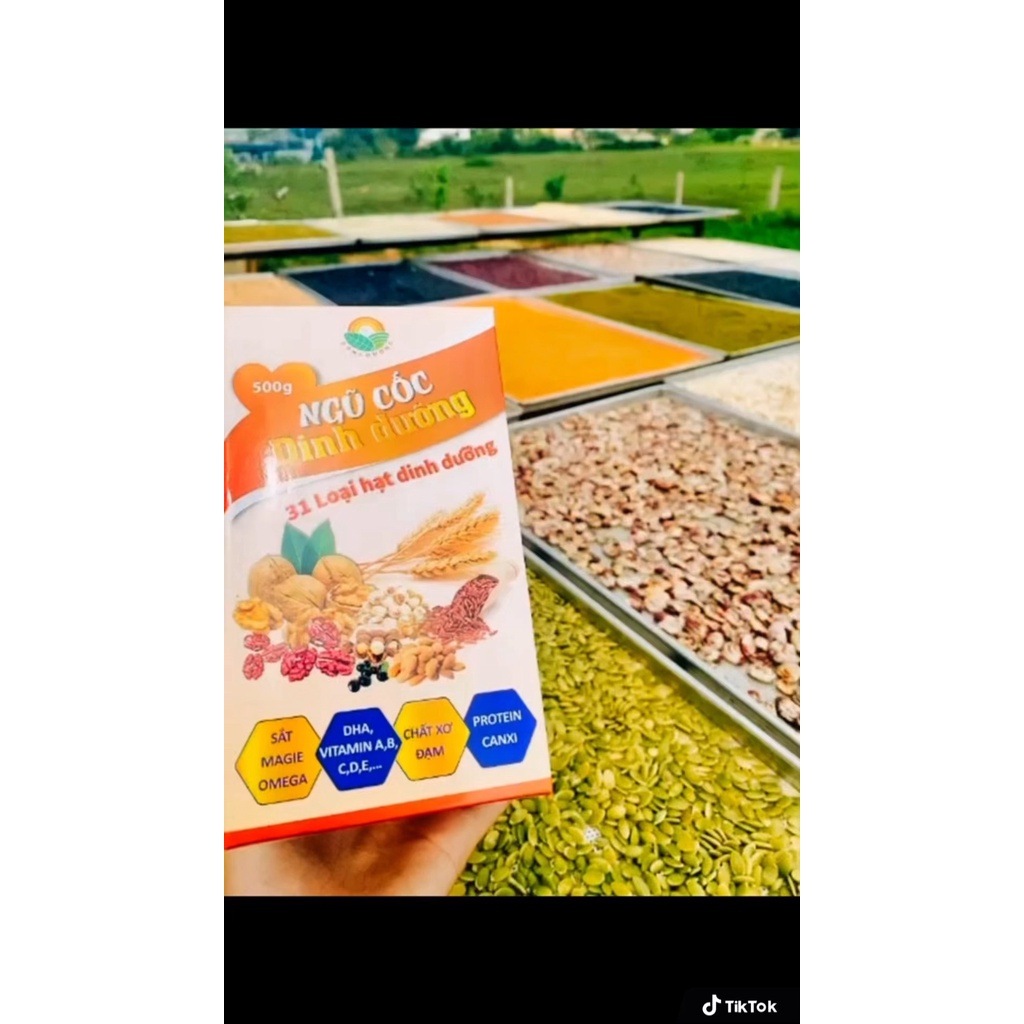 Ngũ Cốc Dinh Dưỡng Đông Dương 500g - Bổ Sung Dinh Dưỡng, Giúp Con Khỏe Mạnh Hơn