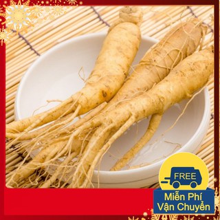 Hạt giống Nhân sâm Hàn Quốc