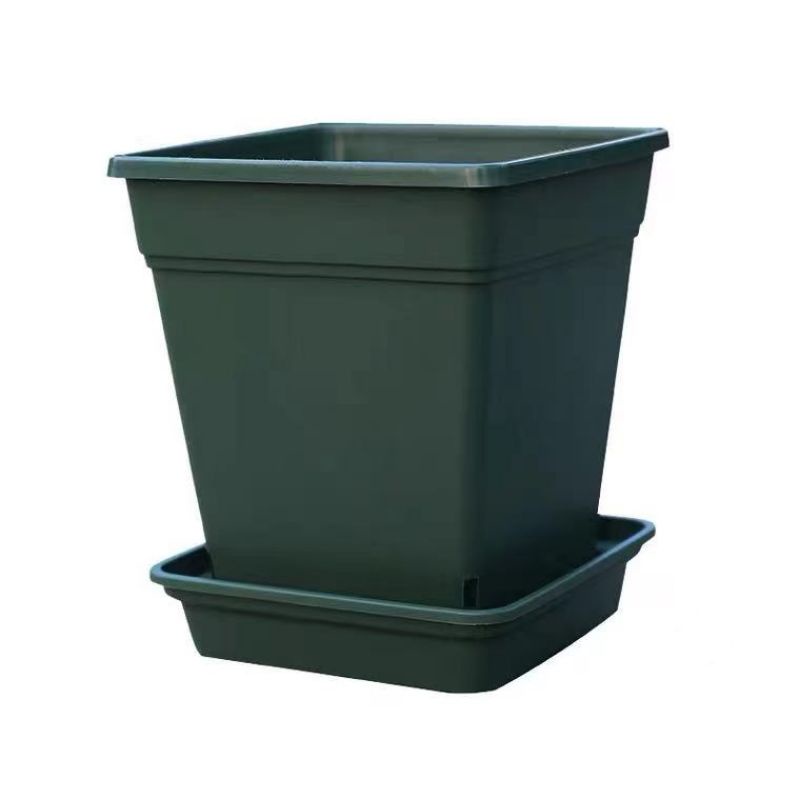 Chậu trồng cây cảnh có khay đế chống lọt Chậu hoa nhựa cao cấp trang trí nhà, văn phòng, sân vườn