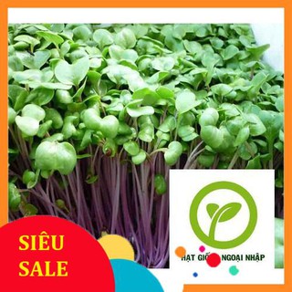 Gói 20 gr hạt giống mầm củ cải đỏ hat f1