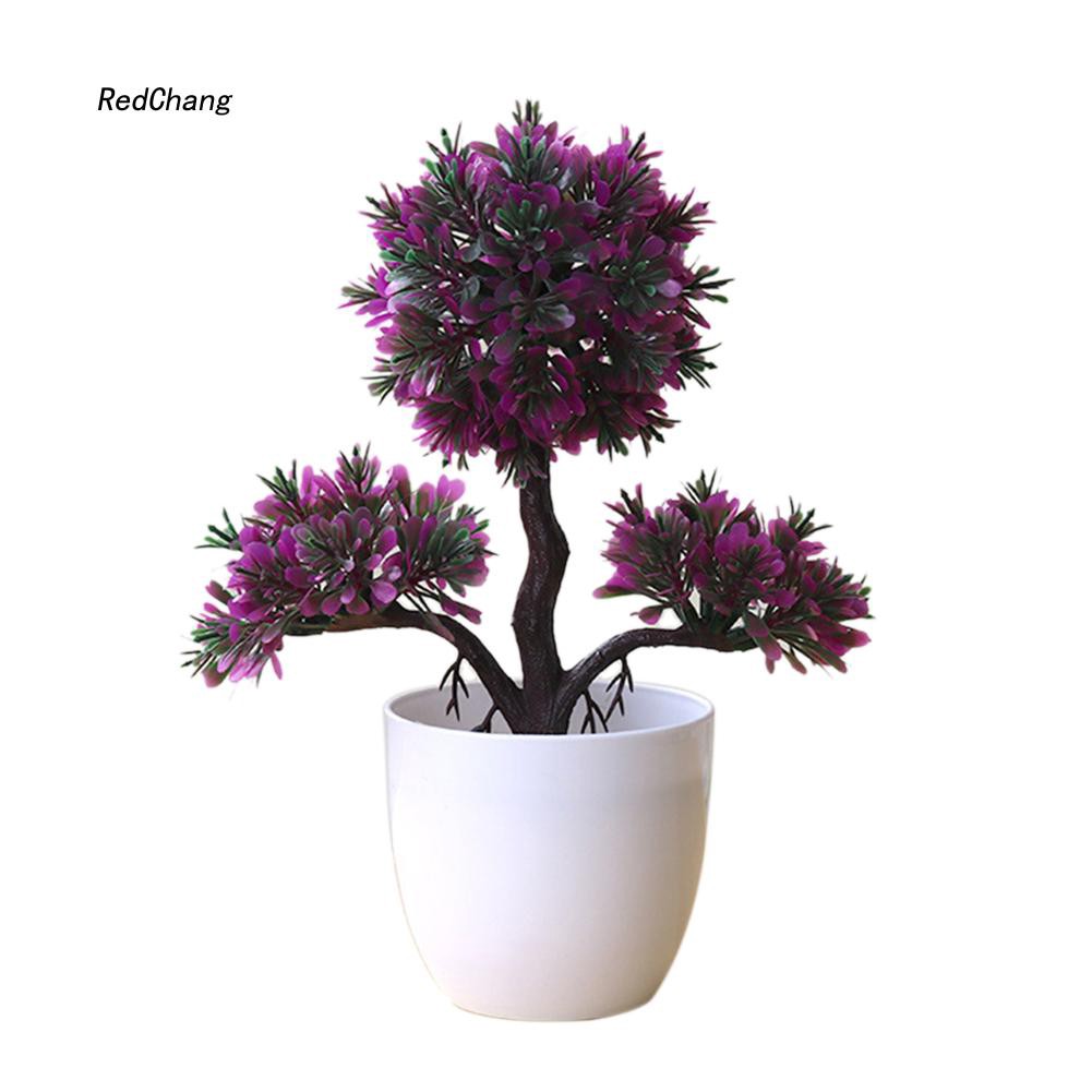 Chậu Cây Bonsai Giả Trang Trí Bàn Làm Việc