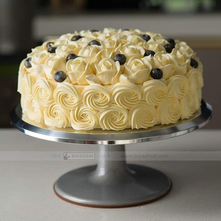 Bàn Xoay 9 Inch Làm Bánh Kem Breadleaf