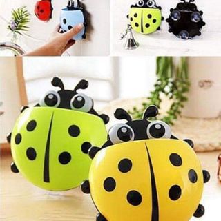 Bọ rùa để bàn chải đánh răng