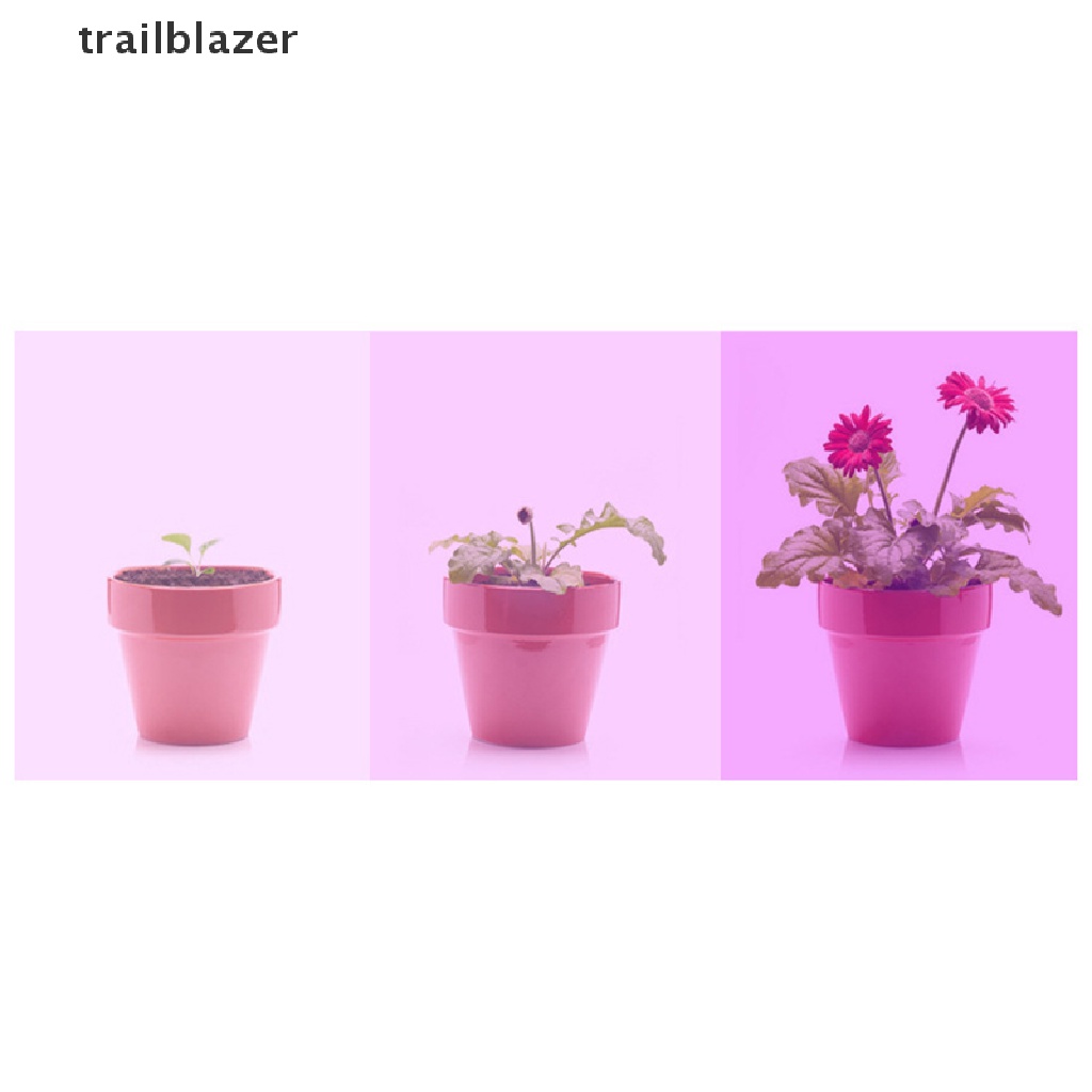 Đèn Led Kích Thích Tăng Trưởng 300LED MR16 220V UV UIO