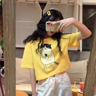 (CÓ QUÀ TẶNG) ÁO CROPTOP form rộng tay lỡ
