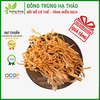 Đông trùng hạ thảo sấy khô 1kg - đặc sản hương rừng