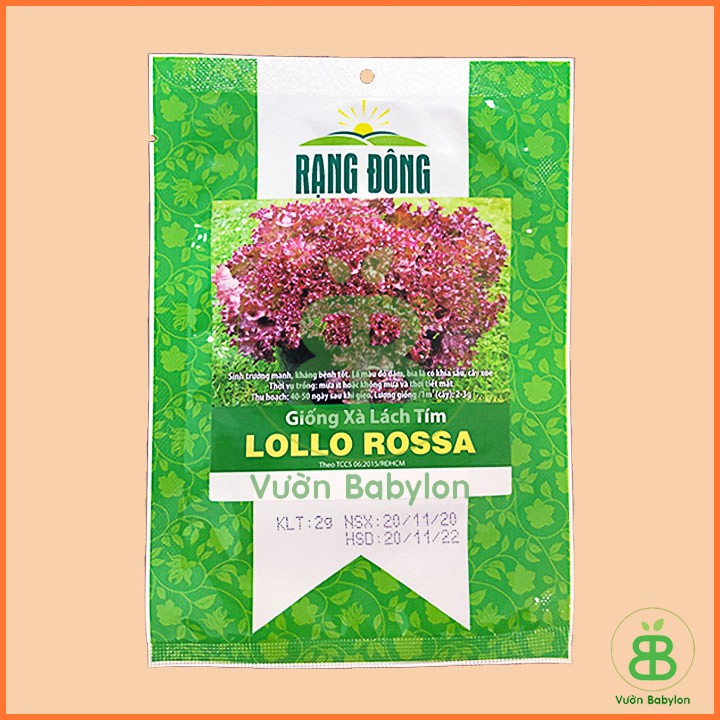 Hạt Giống Xà Lách Tím Lollo Rossa 2Gr Dễ Trồng