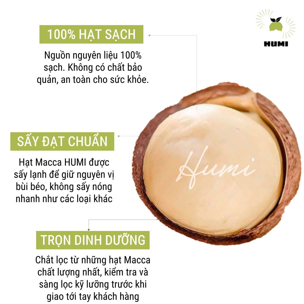 Hạt Macca DakLak Sấy Lạnh Nứt Vỏ HUMI - Tặng Kèm Tách Hạt - 100% Organic Sạch