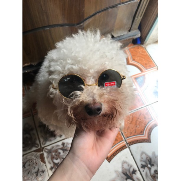 Kính Ngố Thầy Bói Mini Cho Thú Cưng, Em Bé