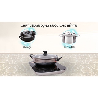 Bếp từ BlueStone ICB-6658
