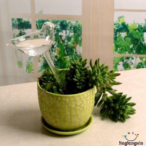 BღBღ✿New Glass Self Watering Plant Waterer 6 Types Plant Flowers Water Feeder