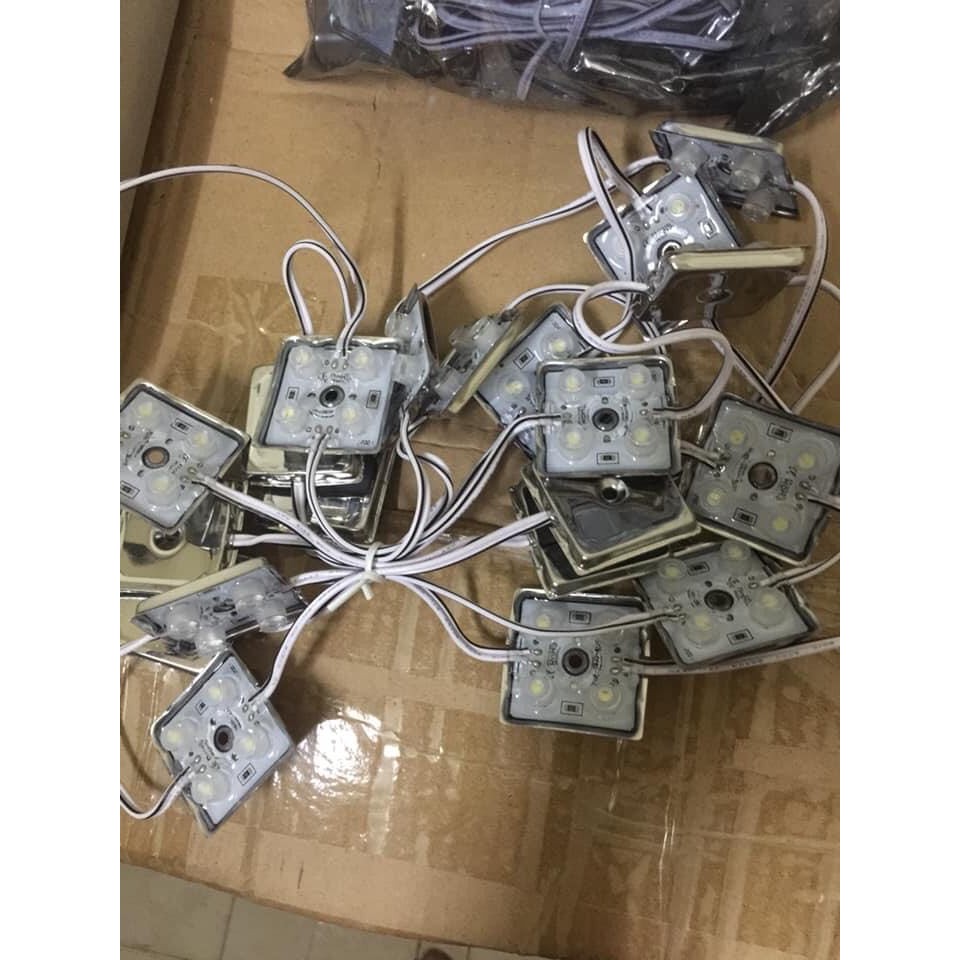 4 Bóng đế sắt lồi 12V Màu Trắng Ngoài trời (1 dây 20 bóng),4 Bóng Đế Sắt12V,bóng 12V