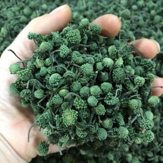 500g - 1kg nụ hoa tam thất bao tử xanh đẹp như hình