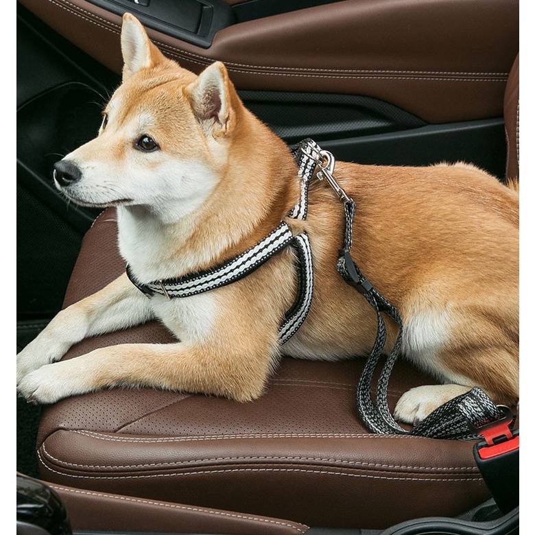 Dodopet, hipidog  Dây đai xích an toàn đi ô tô cao cấp cho chó mèo / thú cưng - Dây thắt seatbelt