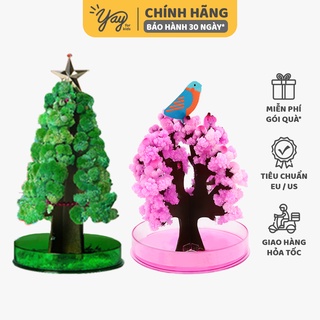 [Rẻ, đẹp, an toàn chính hãng] Cây Thông Trang Trí Thần Kỳ Tự Nở cho bé 6+ Mideer