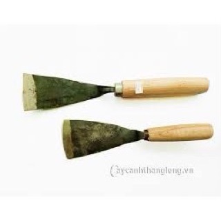 DẦM XỚI ĐẤT - TRỒNG CÂY CẢNH