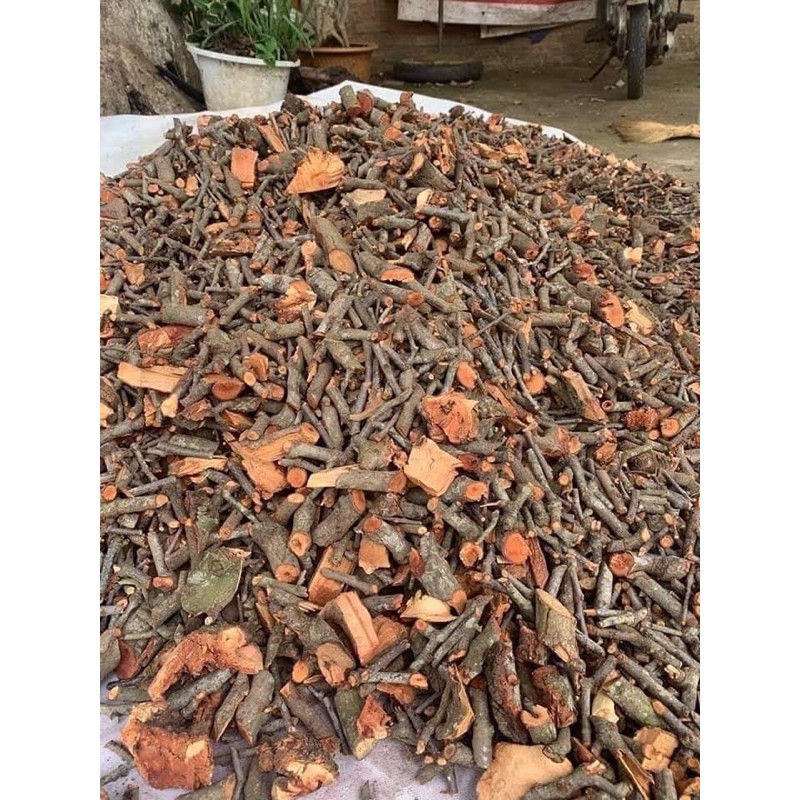 Cây Tầm Gửi Gạo Tía Khô Sơn La (Gói 1kg)