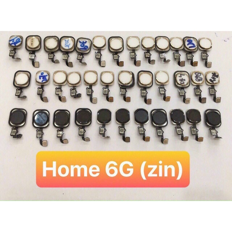HOME IPHONE 6G,6PLUS TRẮNG ĐEN ĐỦ MÀU