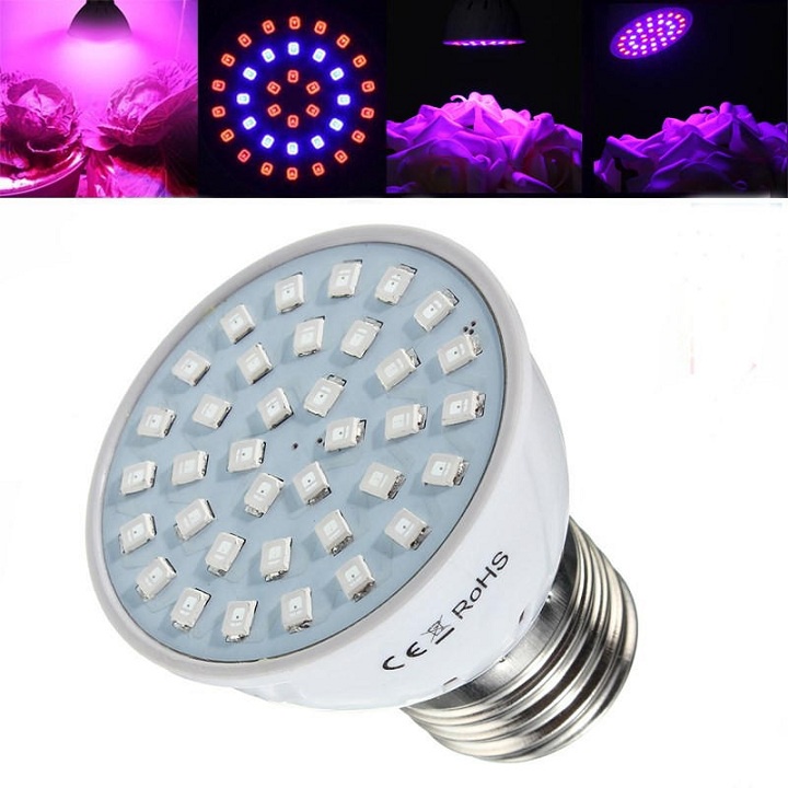 Bóng Đèn Trồng Cây 60 Led Chuôi E27 Sale