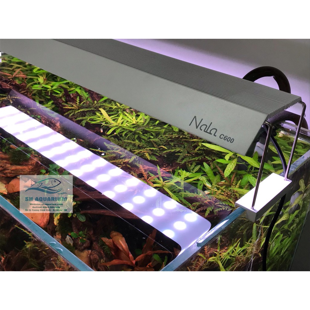 Đèn Nala Thế Hệ Mới C400, C600, C900