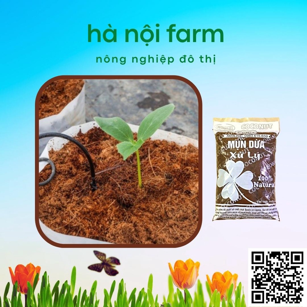 Mùn Dừa, Xơ Dừa Đã Qua Xử Lý - Túi 10lit . Trồng Rau Sạch, ươm hạt