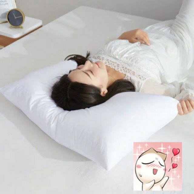 Ruột gối nằm hơi hoàng long kích thước 40x60 ( 1 cái )
