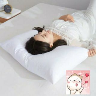 Ruột gối nằm hơi hoàng long kích thước 40x60 ( 1 cái )